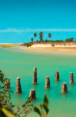 Passeio de Buggy - Barrinha