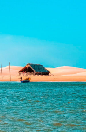 Rota das emoções em 7 dias