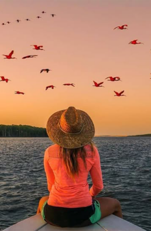 Revoada dos Guarás em Tutóia